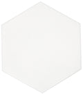 Savona Matte 8 In x 9 In Patterned Deco Ceramic Field Floor Tile