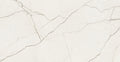 Lincoln Vein Matte 24 In x 48 In Marble Porcelain Field Floor Tile 8 mm