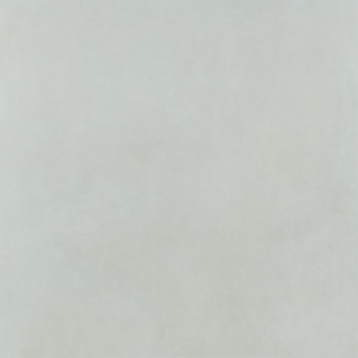 Core Polished 24 In x 24 In Industrial Porcelain Field Floor Tile ...