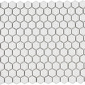 Mosaic Studio Matte 12 In x 12 In Mosaic Hexagon 1 x 1 Porcelain Floor Tile