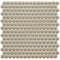 Mosaic Studio Plus Glossy 12 In x 12 In Mosaic Penny Round Porcelain Floor Tile