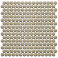 Mosaic Studio Plus Glossy 12 In x 12 In Mosaic Penny Round Porcelain Floor Tile