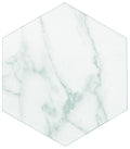 Statuario Luxe Matte 8 In x 9 In Marble Ceramic Field Wall Tile