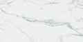 Statuario Luxe Matte 12 In x 24 In Marble Porcelain Field Floor Tile